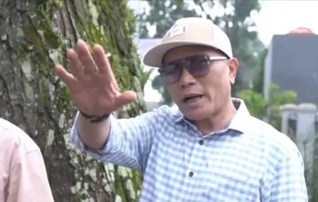 Lima Tahun Dipingpong, Penanganan Pohon Mahoni di Jalan Kolonel Masturi Disorot DPRD Jabar