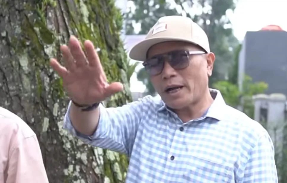 Lima Tahun Dipingpong, Penanganan Pohon Mahoni di Jalan Kolonel Masturi Disorot DPRD Jabar