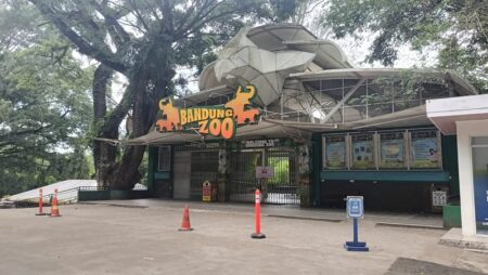 Bandung Zoo Siap Sambut Lebaran! Satwa Dipastikan Sehat