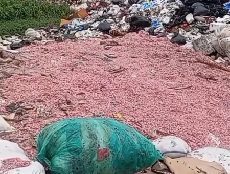 Bongkar Misteri: Cacahan Uang Rupiah Berserakan di TPS Liar Bekasi, dari Mana Asalnya?