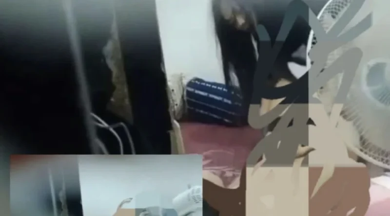 Link Video Ibu Kos Viral di Halmahera Tengah, Dugaan Aksi Paksa Penghuni Indekos Mencuat