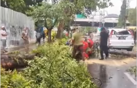 Hujan Lebat dan Angin Kencang Landa Bandung Raya, Pohon Tumbang dan Genangan Terjadi di Beberapa Titik
