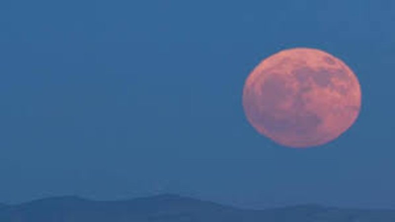 Wajib Tahu! Pink Moon 2026 Muncul 1–2 April, Ini Waktu Terbaik Melihatnya di Indonesia