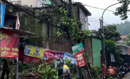 Pohon Tumbang di Ciumbuleuit, Kabel Listrik Jadi Penahan Darurat