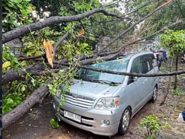 Detik-Detik Pohon Tumbang di Bandung, Toyota Noah Rusak Parah