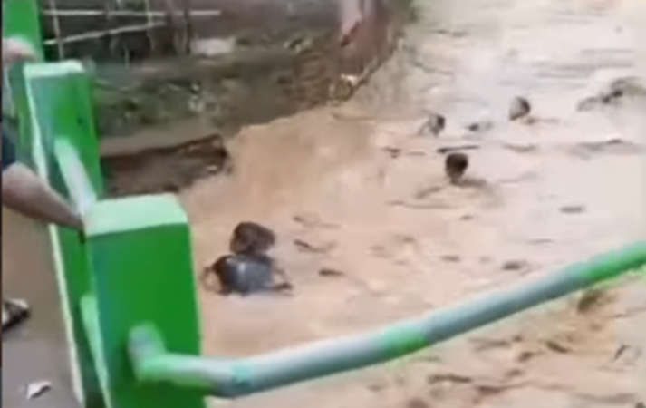 Mencekam! Warga Ikut Terseret Arus saat Evakuasi di Sungai Cibanjaran