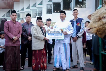 Wali Kota Bandung Serahkan Sapi Kurban Presiden RI Seberat 1,25 Ton