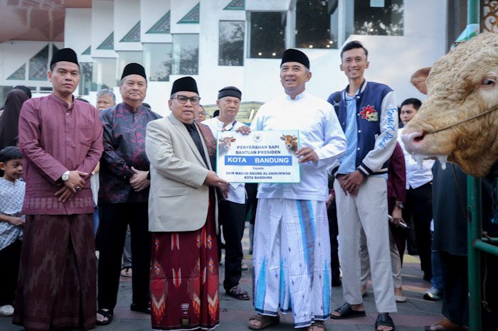 Wali Kota Bandung Serahkan Sapi Kurban Presiden RI Seberat 1,25 Ton