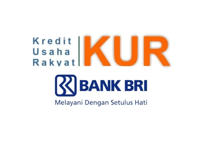 Panduan Modal UMKM: Tabel Angsuran KUR BRI Rp100 Juta Beserta Syarat dan Cara Daftar Online