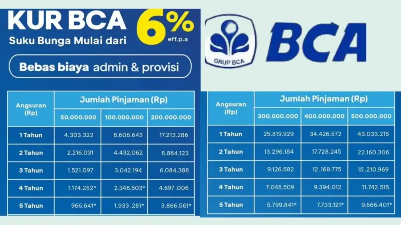 Strategi Sukses Tambah Modal Usaha: Simulasi Angsuran KUR BCA Rp100 Juta dan Panduan Lengkapnya