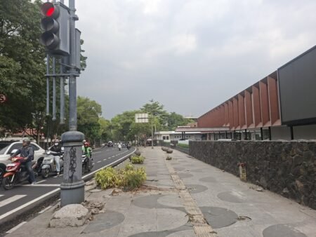 Rindang Jadi Beton! 9 Pohon di Cihapit Ditebang Demi Lapangan Padel?