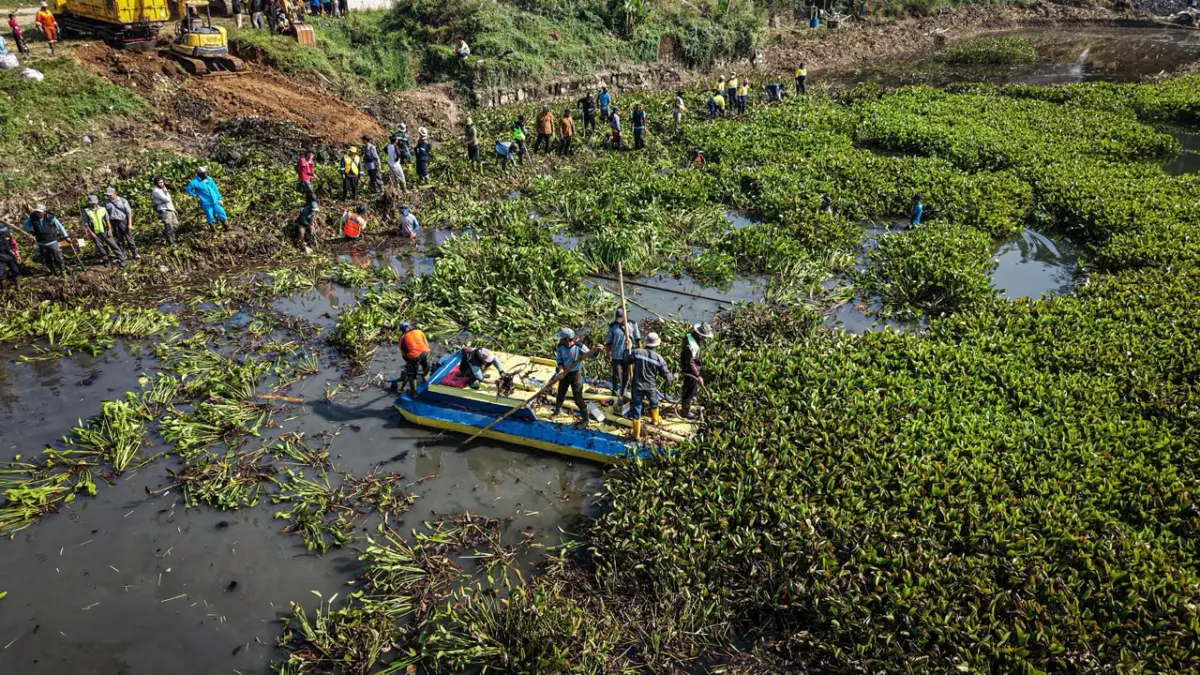 Darurat Gulma Waduk Saguling: Dua Desa di Cililin Jadi Titik Fokus Pembersihan Massal