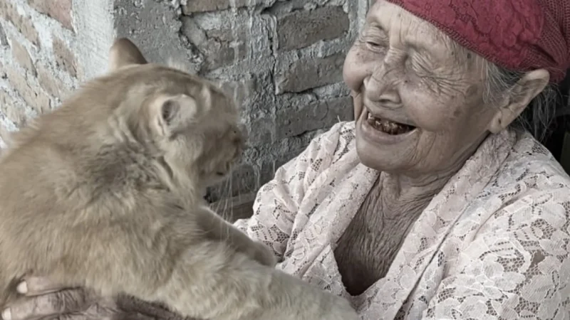 Kisah Haru Mbok Tukinil dan Yanto Kucing Oren yang Bikin Satu Indonesia Menangis