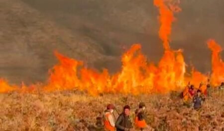 Karhutla Bromo Tengger Semeru Tembus 742 Hektare