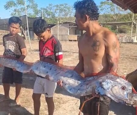 HEBOH! ‘Ikan Kiamat’ Sepanjang 4 Meter Muncul di Pantai Pink Lombok, Benarkah Sinyal Bencana Besar?!