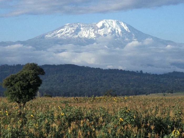 Fiersa Besari Ungkap Perjuangan Taklukkan Kilimanjaro: Hampir Menyerah hingga Kibarkan Merah Putih