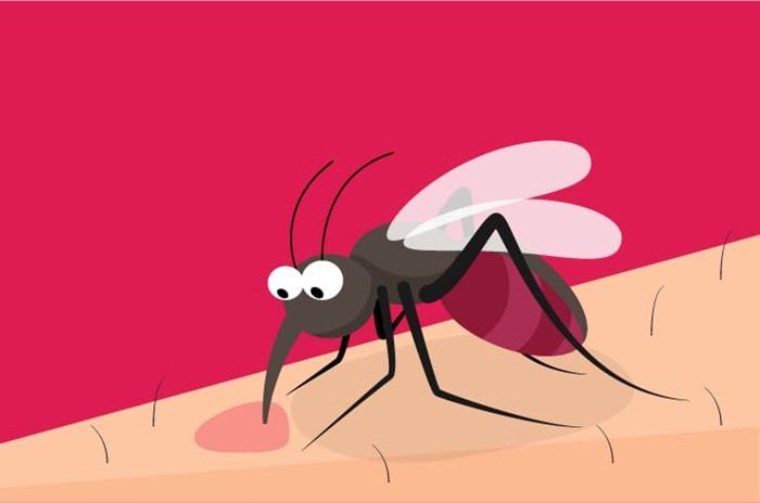Kasus DBD Menurun, Dinkes Bandung Ingatkan Warga Tetap Waspada