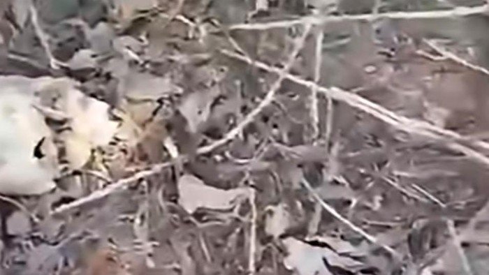 Video Penemuan Tengkorak Manusia di Kuningan Viral, Identitas Korban Akhirnya Terungkap