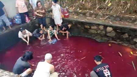 Gempar! Air Kolam di Gunung Sindur Bogor Mendadak Berubah Warna Jadi Merah, Begini Fakta Sebenarnya