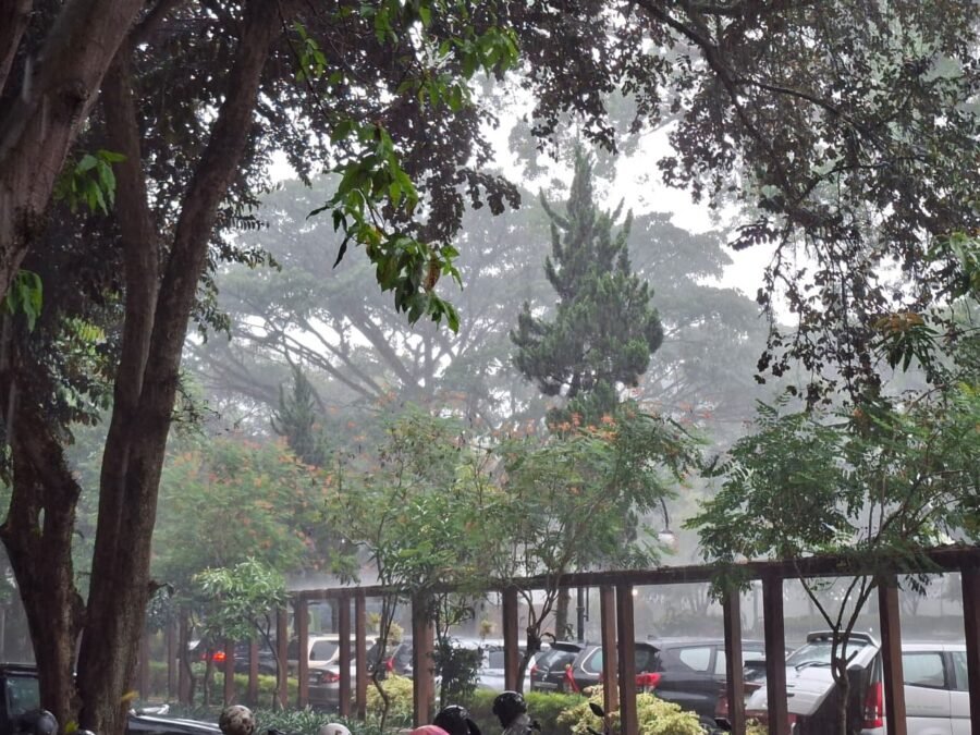 Siaga Musim Hujan, Wali Kota Bandung Kerahkan Seluruh Wilayah Bersihkan Drainase