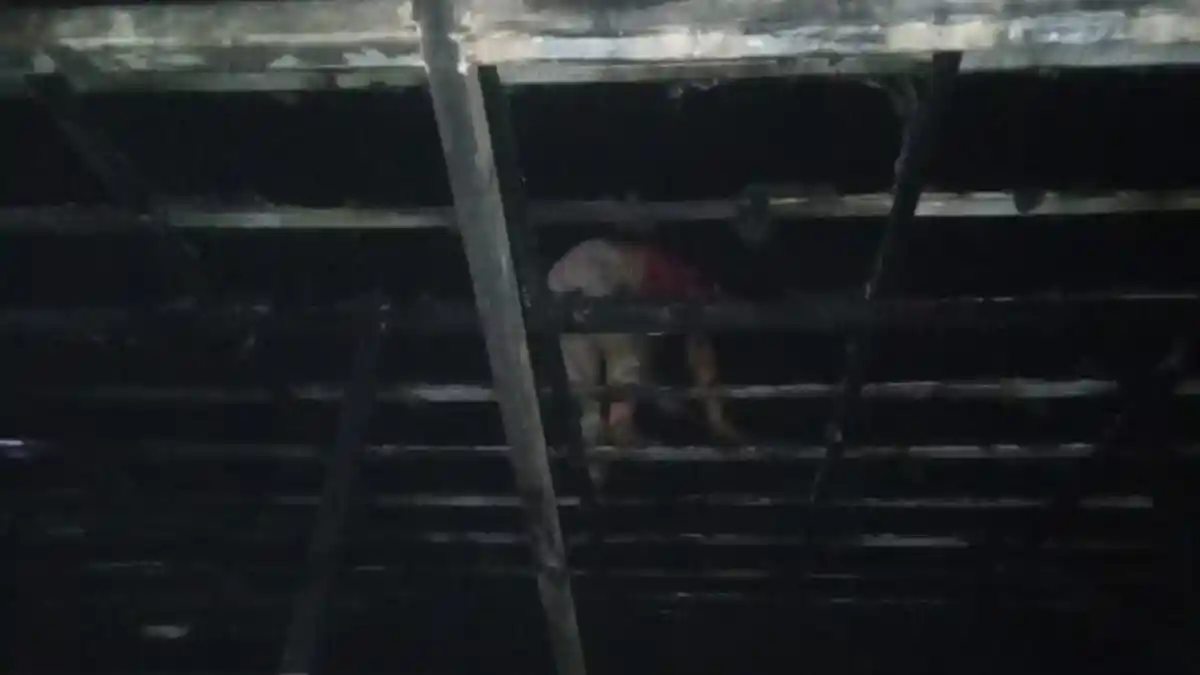Detik-detik Mencekam Kebakaran Ponpes di Cirebon, Warga dan Santri Bahu-membahu Padamkan Api Pakai Ember